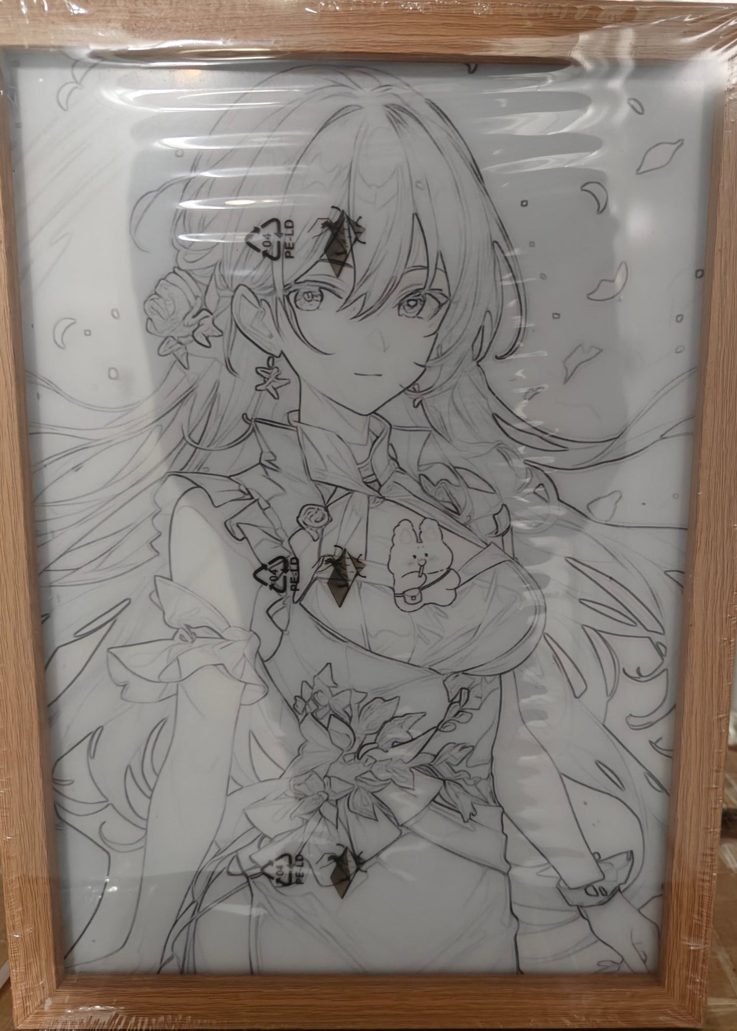 Honkai Star Rail HSR - Himeko Style A Light Up Frame Art Portrait