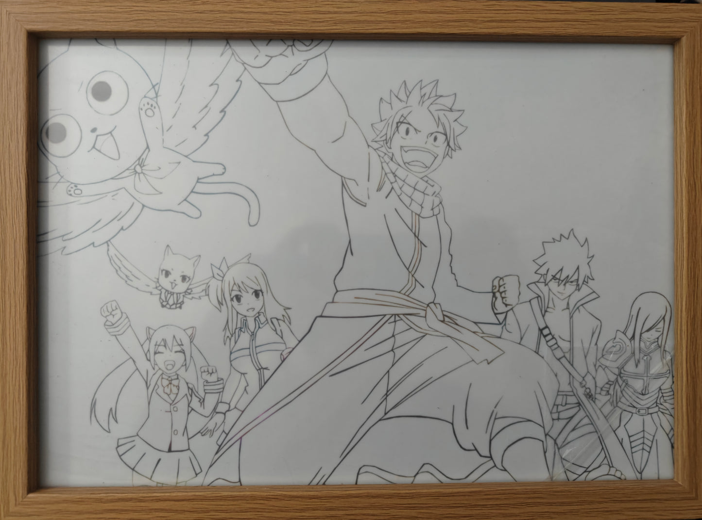 Fairy Tail - Main Cast Light Up Frame Art Portrait