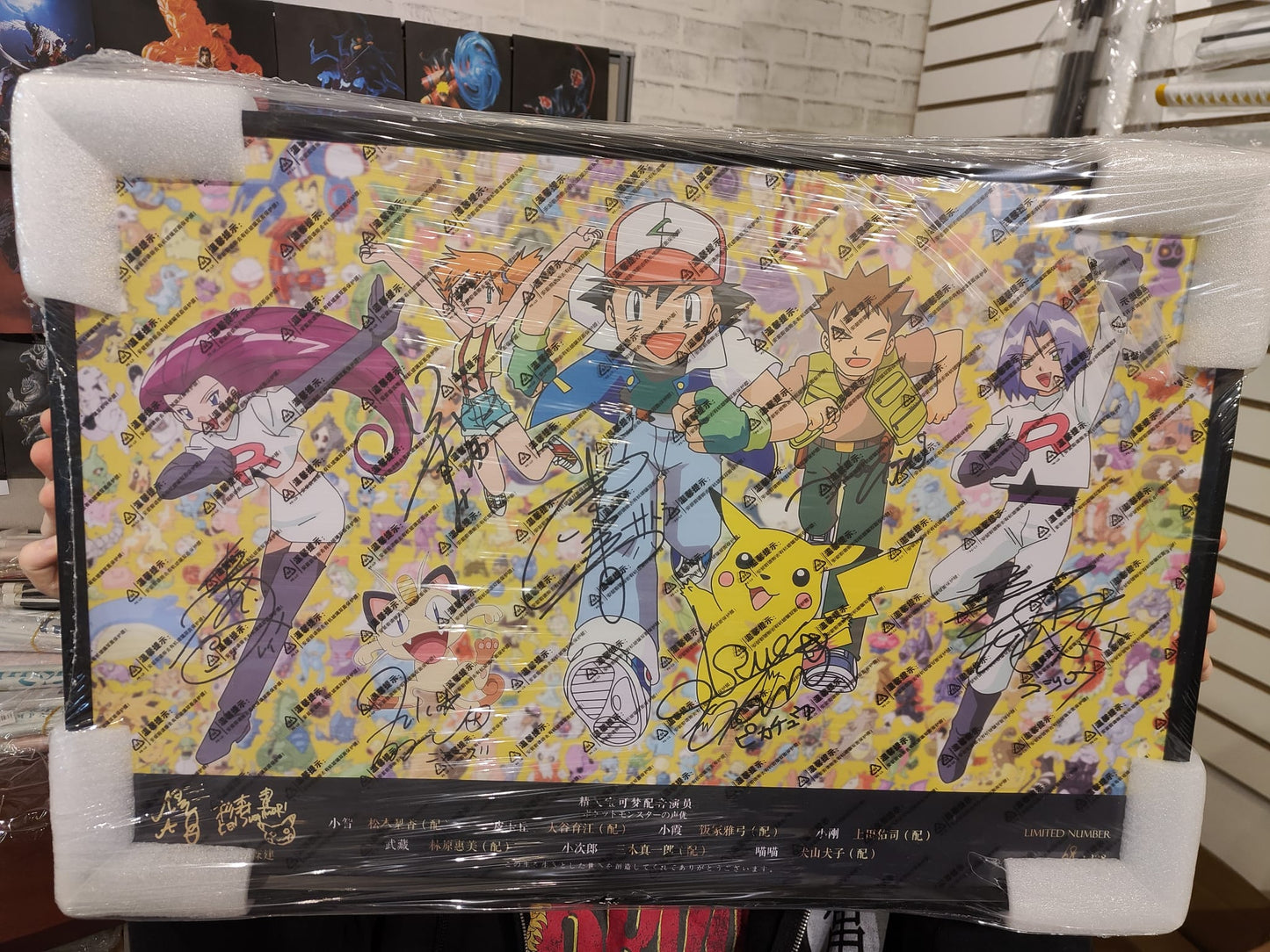 Pokémon Cast Signed Wall Art