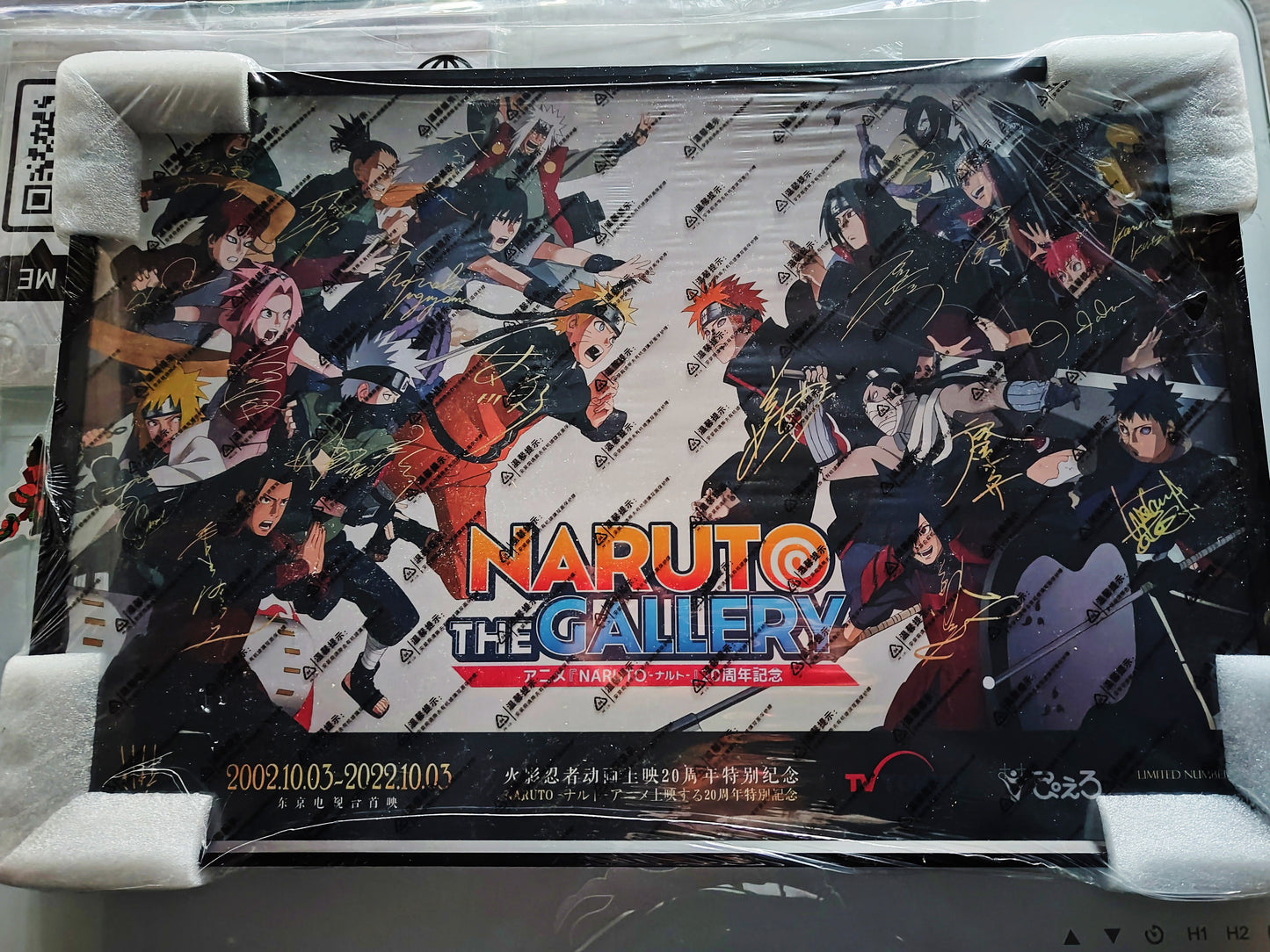 Naruto Signed Wall Art