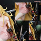 [PRE ORDER] Monogatari - HeRa Studio - Shinobu Oshino (Price does not include shipping - Please Read Description)