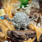 [PRE ORDER] Pokemon - Egg Studio - Tyranitar Evolution Series (Price does not include shipping - Please Read Description)