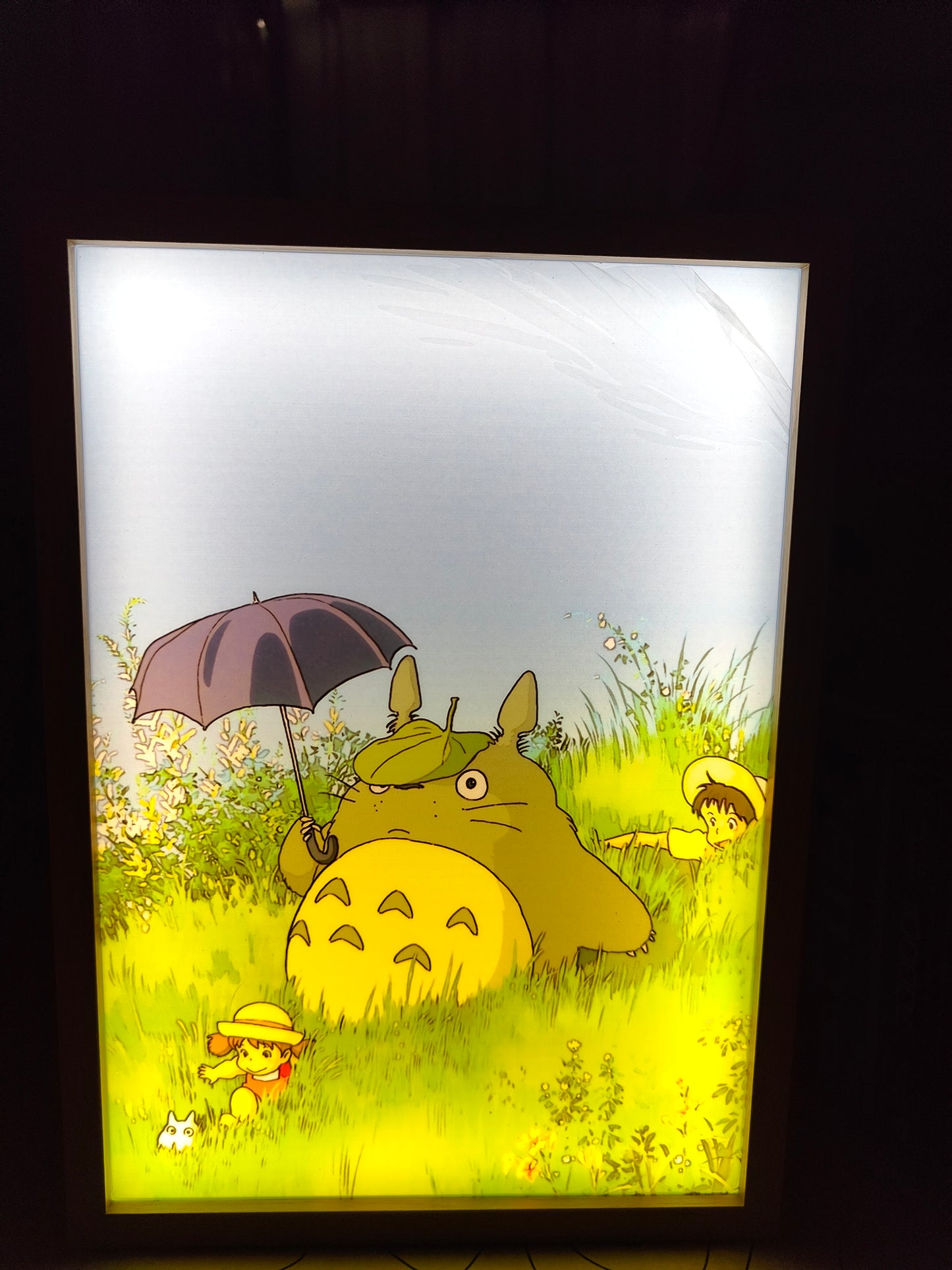 Studio Ghibli - Totoro Light Up Frame Art Portrait