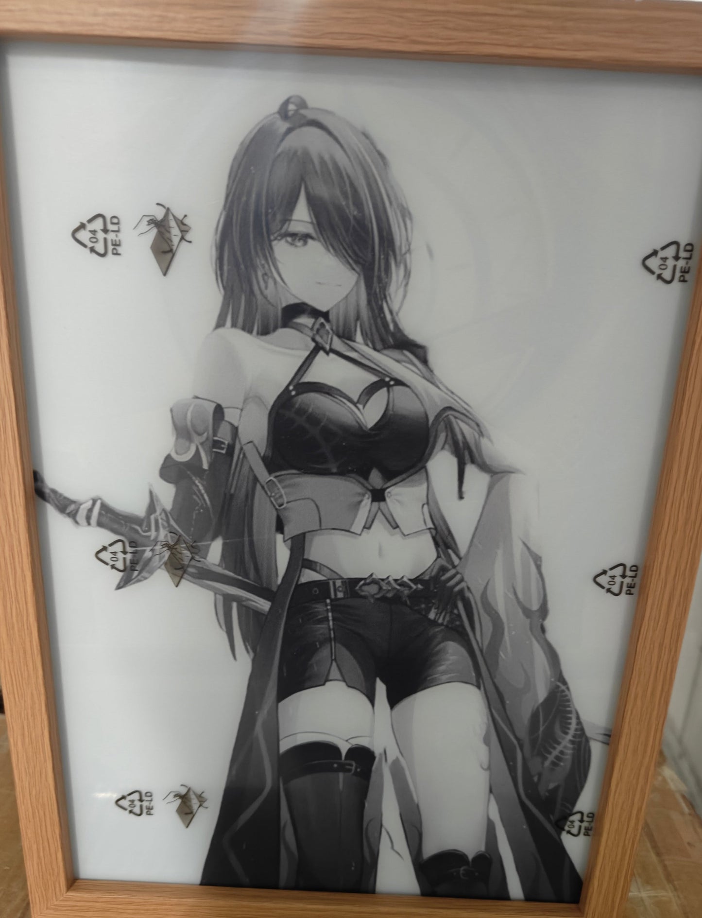 Honkai Star Rail HSR - Acheron Style A Light Up Frame Art Portrait