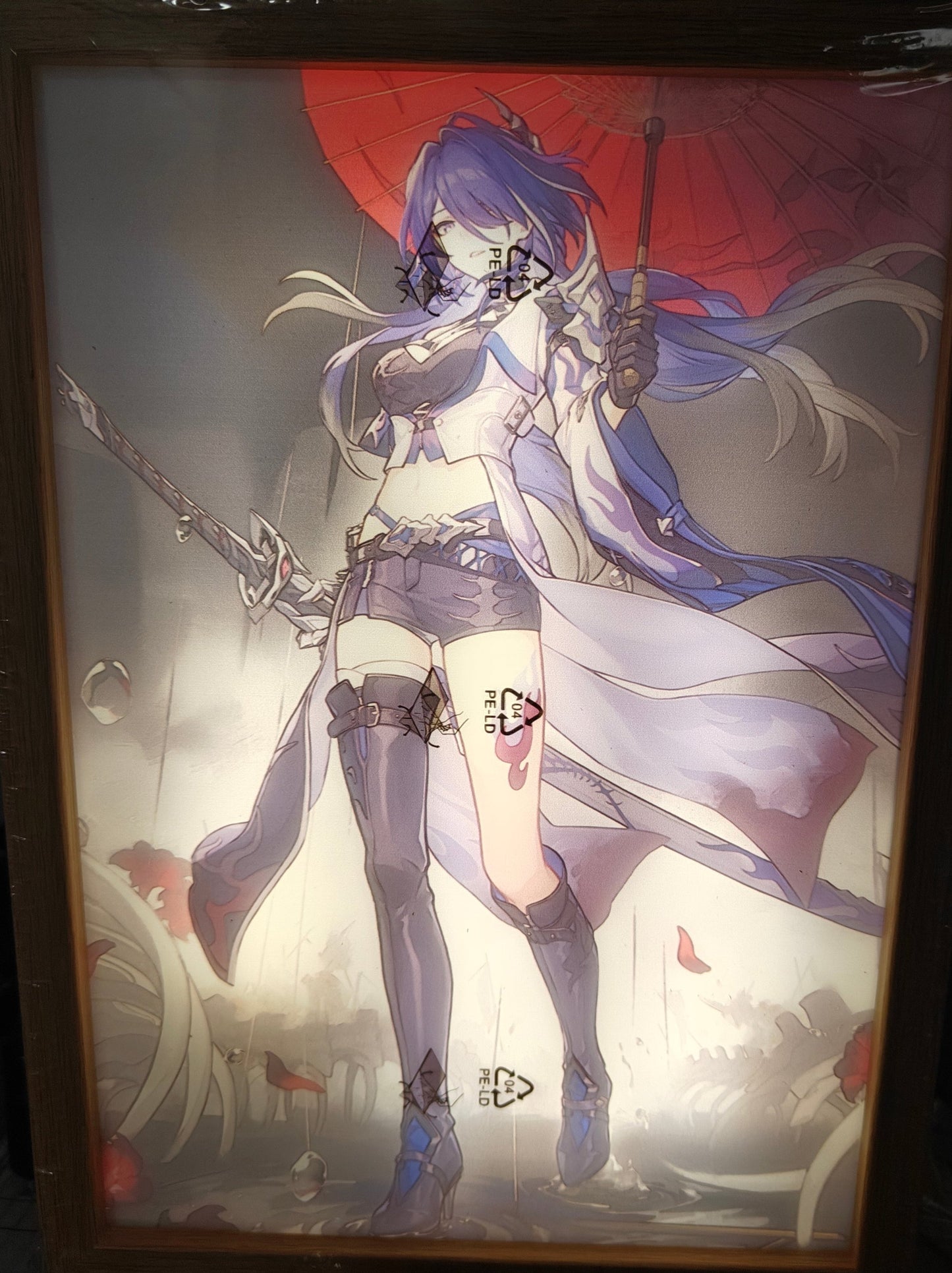 Honkai Star Rail HSR - Acheron Style B Light Up Frame Art Portrait