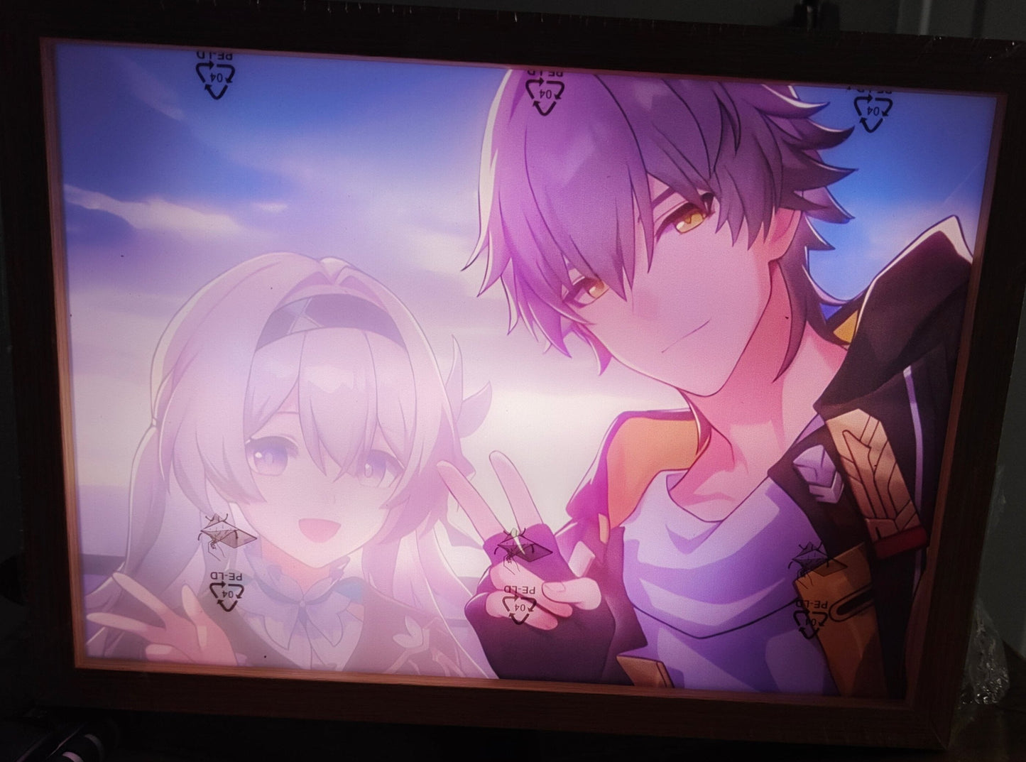 Honkai Star Rail HSR - Firely & Caelus Light Up Frame Art Portrait