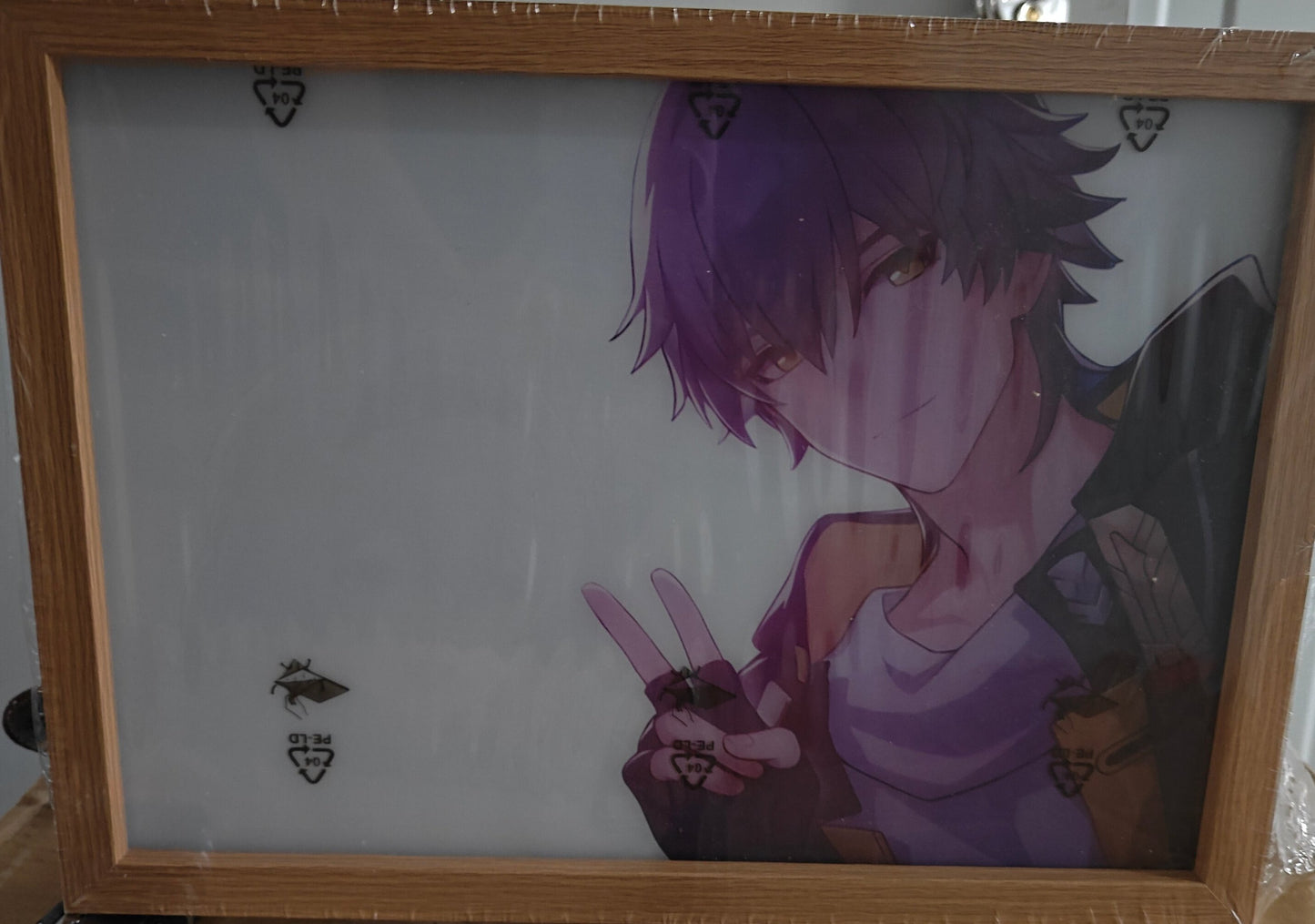 Honkai Star Rail HSR - Firely & Caelus Light Up Frame Art Portrait