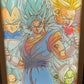 Dragon Ball - Vegito Light Up Frame Art Portrait