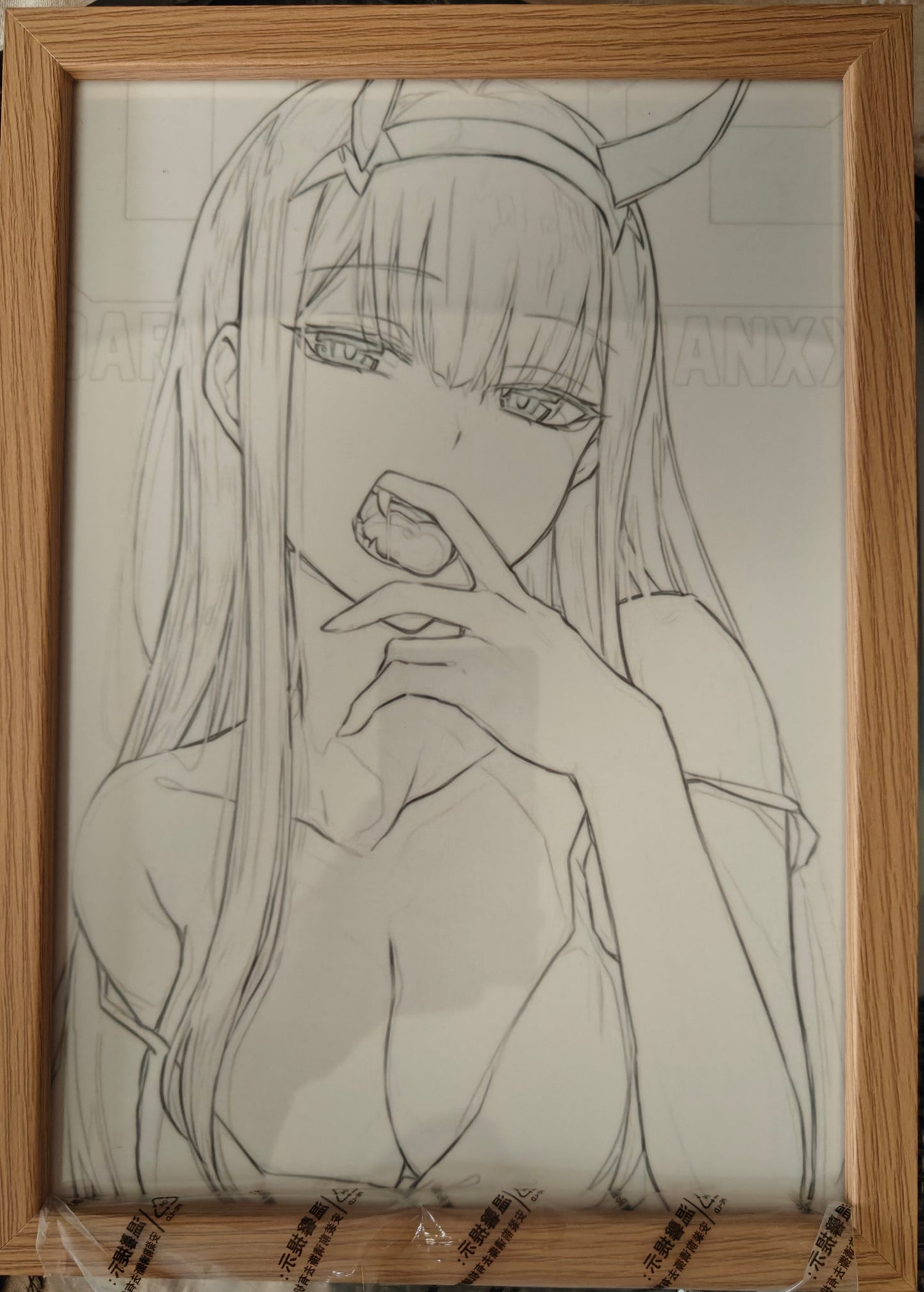 Darling In The Franxx -  Zero Two Style C Light Up Frame Art Portrait