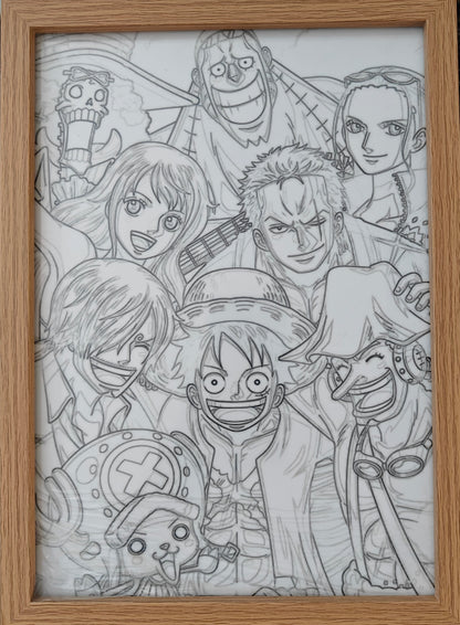 One Piece - Cast Style D Light Up Frame Art Portrait