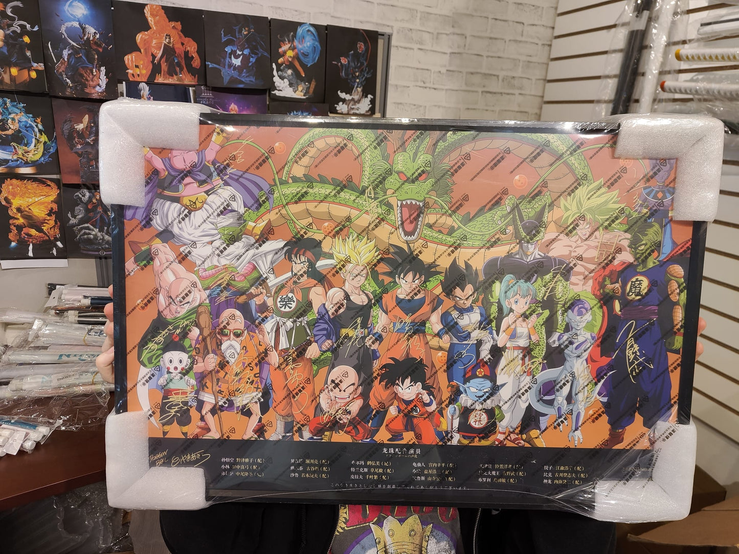 Dragon Ball Cast Signed Wall Art