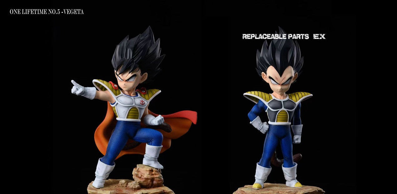 Dragon Ball Z - SHK Studio - Vegeta Life Bust (Price does not include shipping)