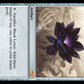 Magic: The Gathering - Black Lotus Credit Card Sticker