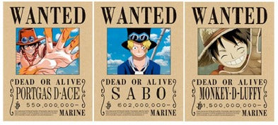 One Piece Heroes 3D Posters(Please Read Description)